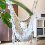 Dream Braszów