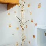 Apartament Dream Braszów