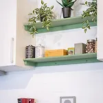 Dream Apartment