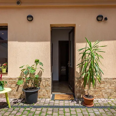 Apartment Dream