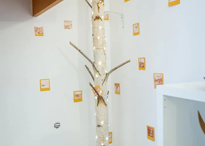 Apartment Dream Brasov